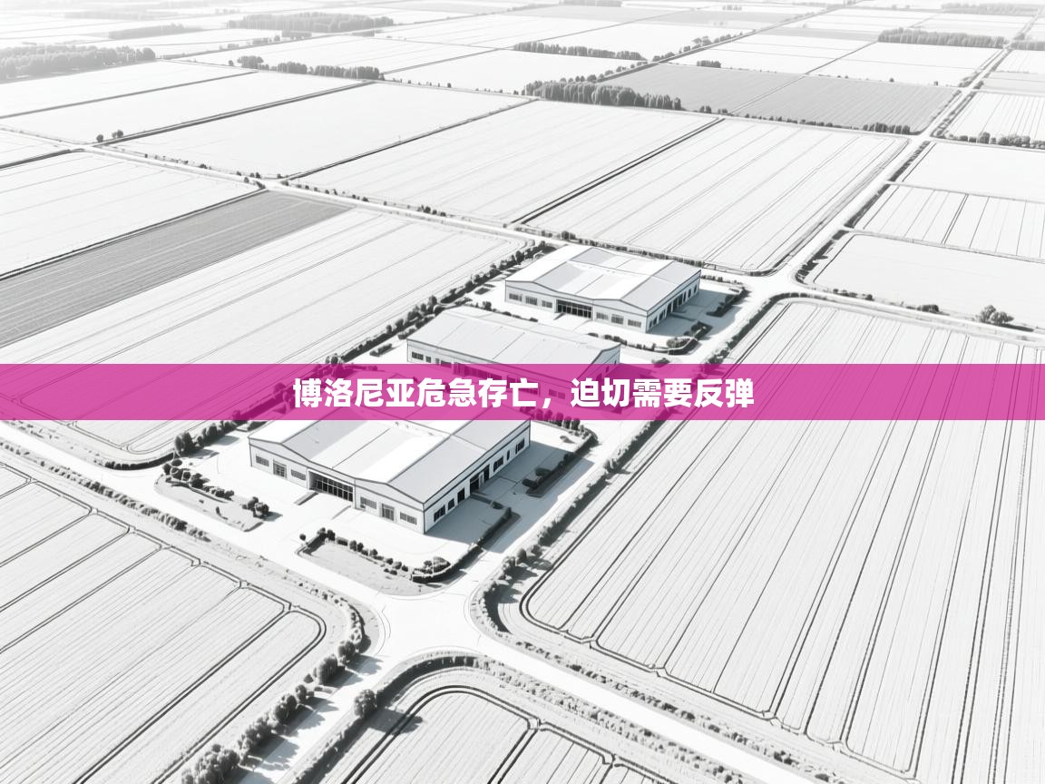 开云体育登录入口-博洛尼亚危急存亡，迫切需要反弹