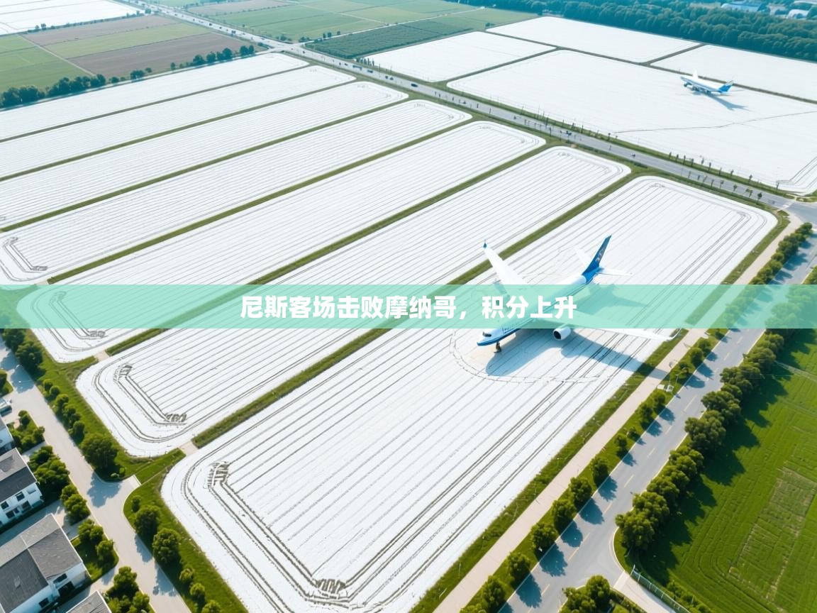 开云体育新人指引-尼斯客场击败摩纳哥,积分上升 第2张