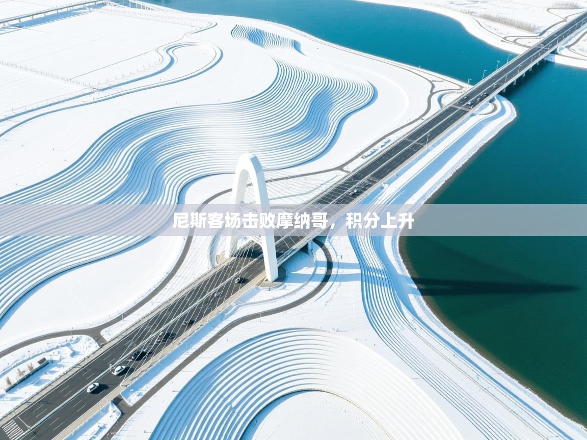 开云体育新人指引-尼斯客场击败摩纳哥,积分上升 第1张