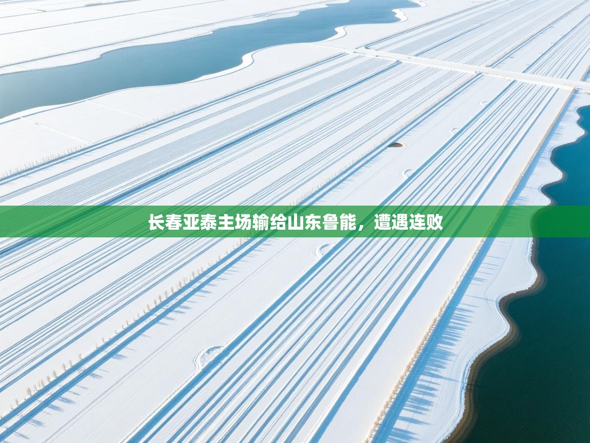 开云入口-长春亚泰主场输给山东鲁能，遭遇连败