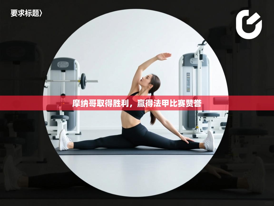 开云体育赛程表查询-摩纳哥取得胜利,赢得法甲比赛赞誉 第2张