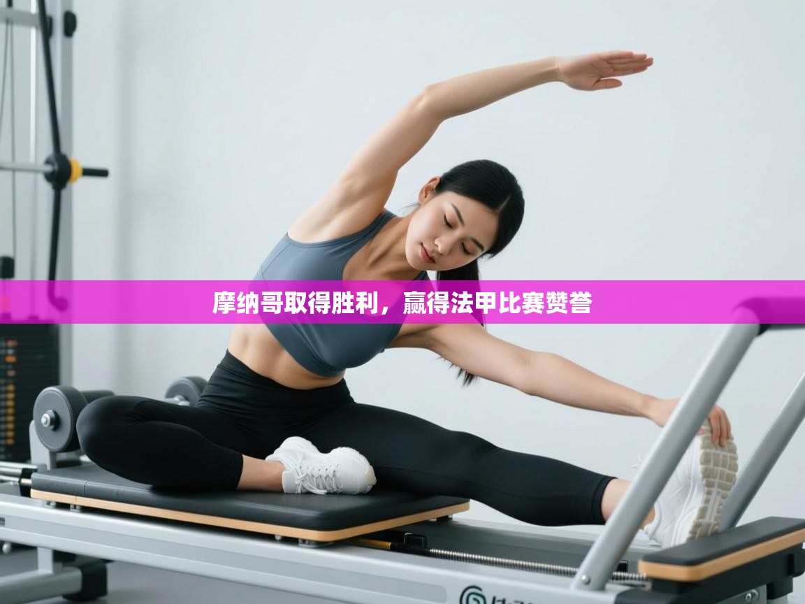 开云体育赛程表查询-摩纳哥取得胜利,赢得法甲比赛赞誉 第3张