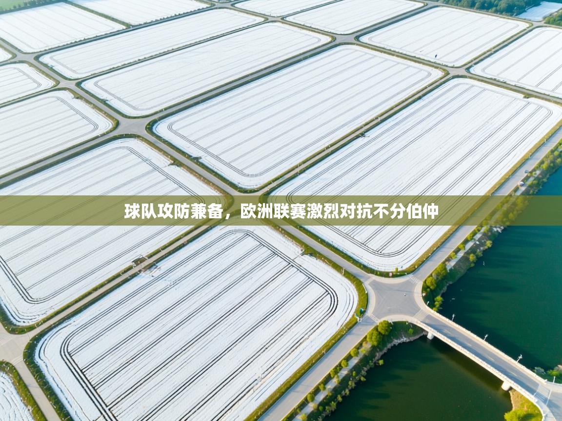 开云体育入口网址-球队攻防兼备，欧洲联赛激烈对抗不分伯仲  第3张