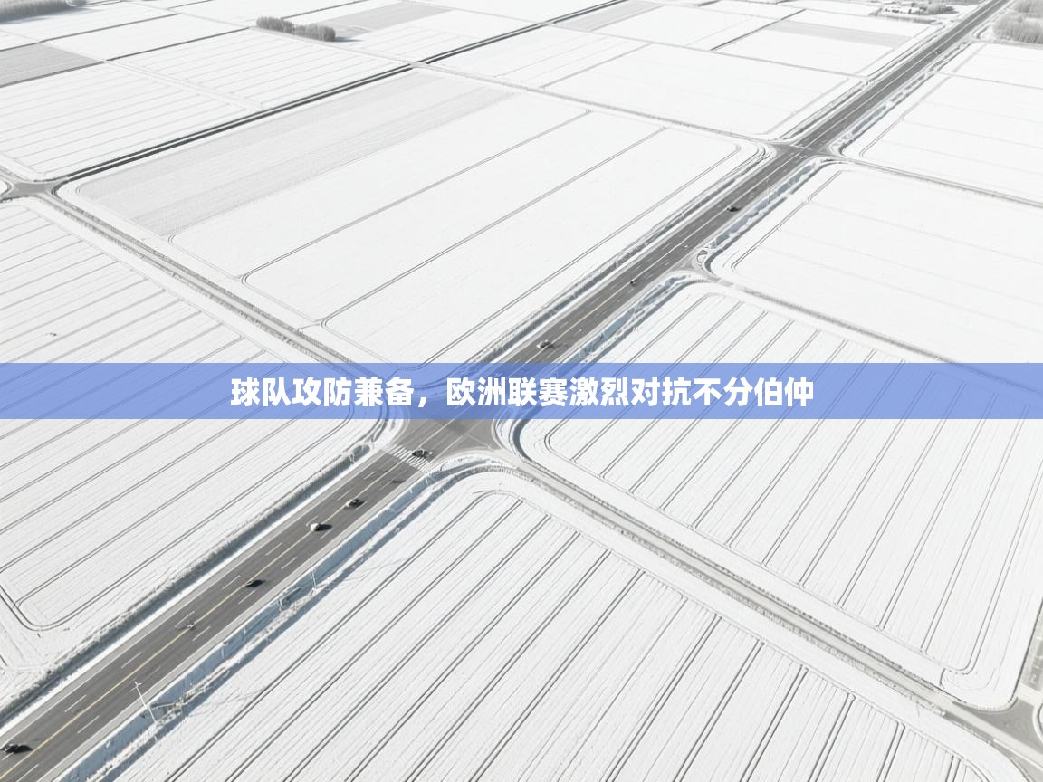 开云体育入口网址-球队攻防兼备，欧洲联赛激烈对抗不分伯仲  第4张