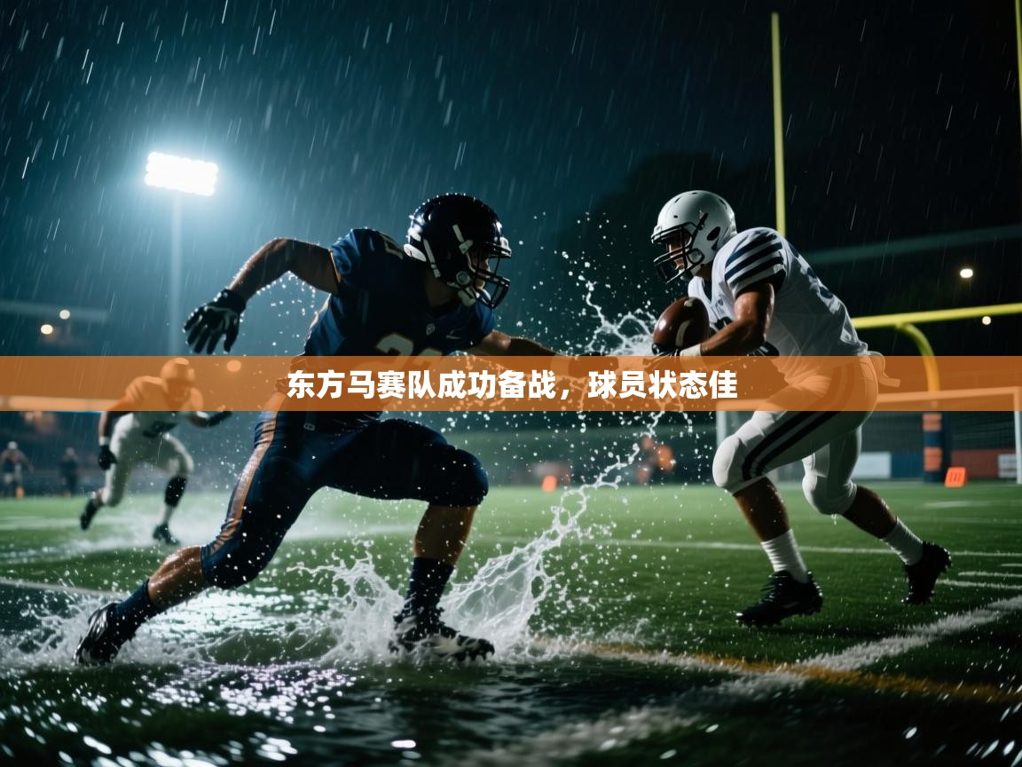 开云网页版-东方马赛队成功备战，球员状态佳  第3张