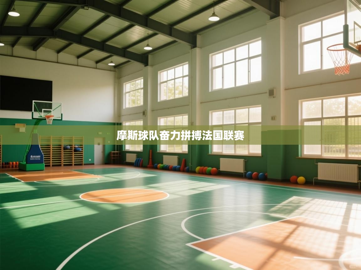 云开体育app登录入口-摩斯球队奋力拼搏法国联赛  第4张